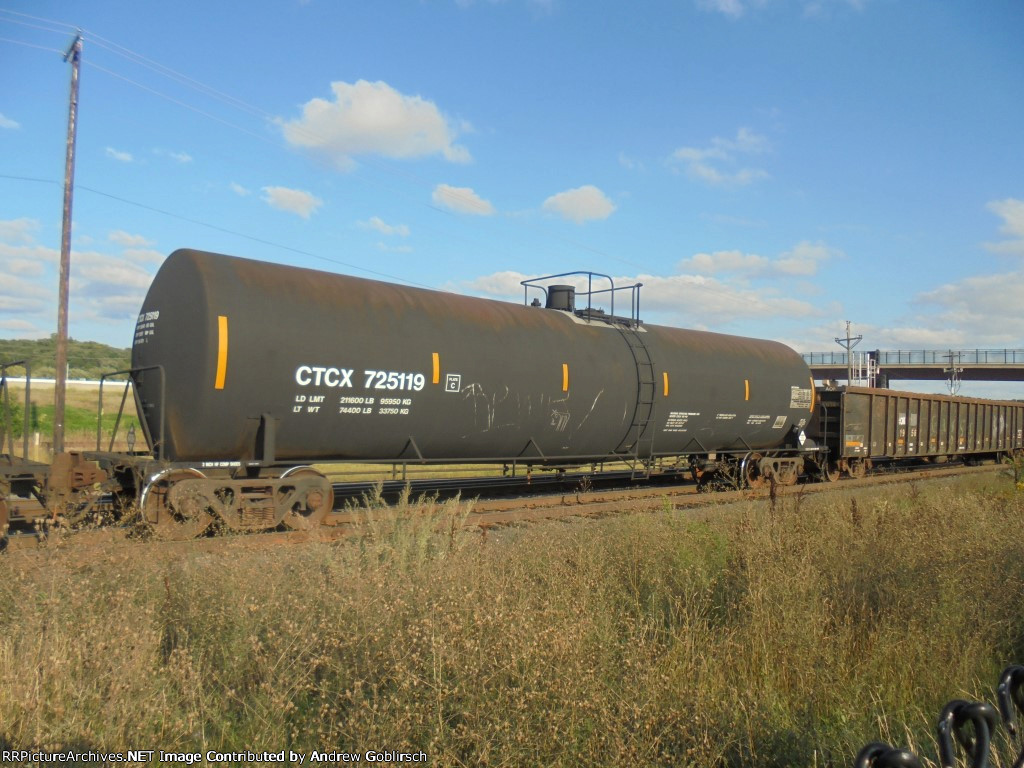 CTCX 725119